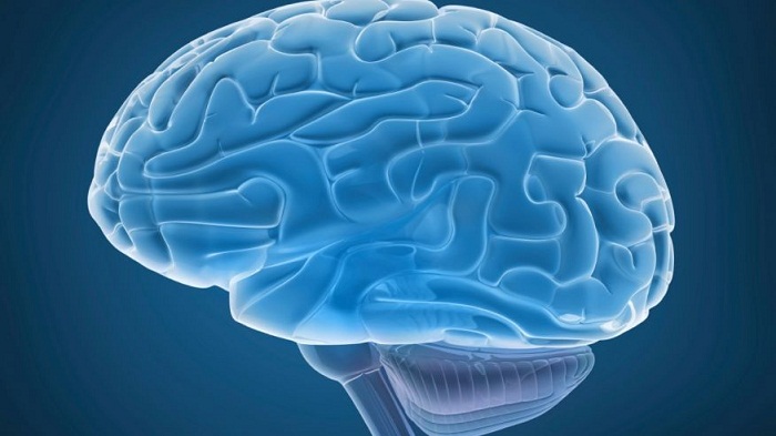 Memory research could advance treatments of mental illness 